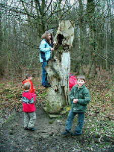 Unser Nachwuchs am Kamellboom